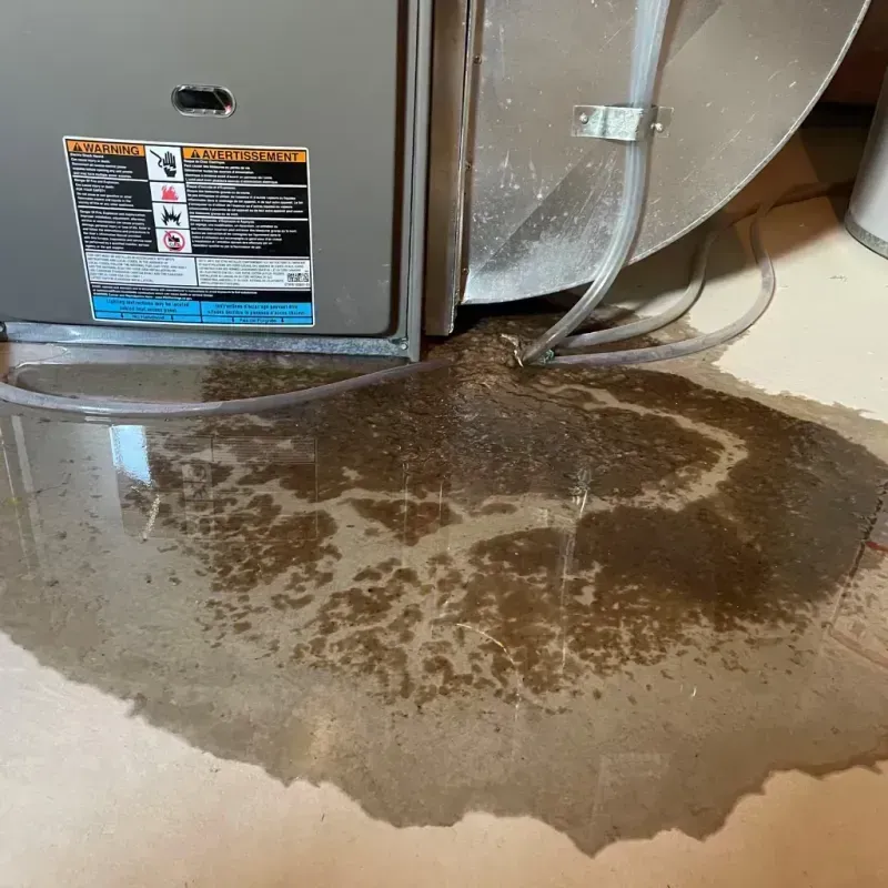 Appliance Leak Cleanup in Painted Post, NY